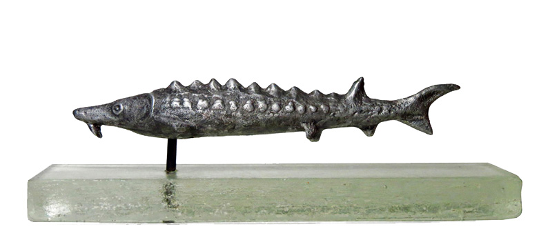 Sturgeon on glass by Kate Graves